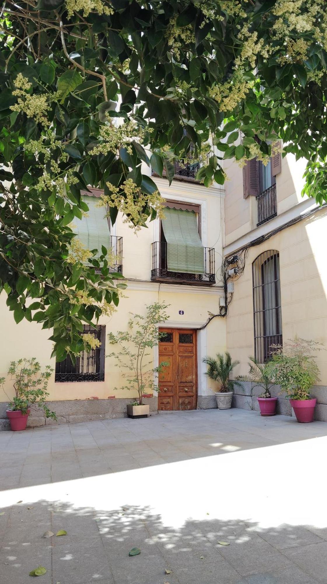 Centrico Apartamento Con Patio マドリード エクステリア 写真